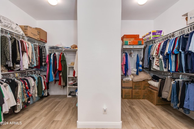 spacious closet featuring wood finished floors