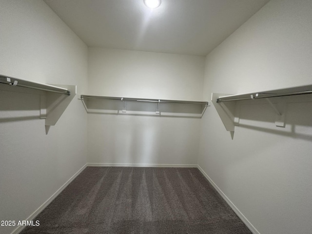 6064 E Artemis Dr, Florence, AZ 85132 - walk in closet featuring carpet floors