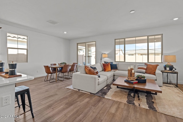 living room featuring light wood-type flooring and a wealth of natural light