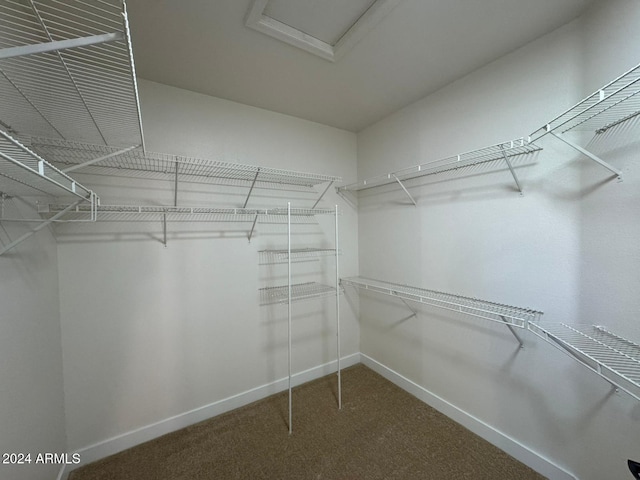 walk in closet with carpet floors and attic access