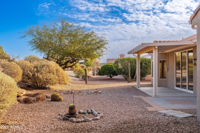 view of yard with a patio area