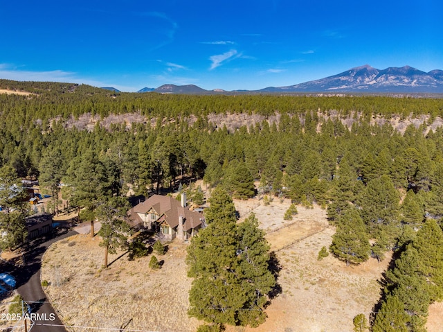 drone / aerial view with a mountain view and a wooded view