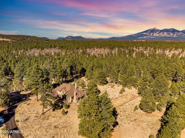 view of mountain feature with a wooded view
