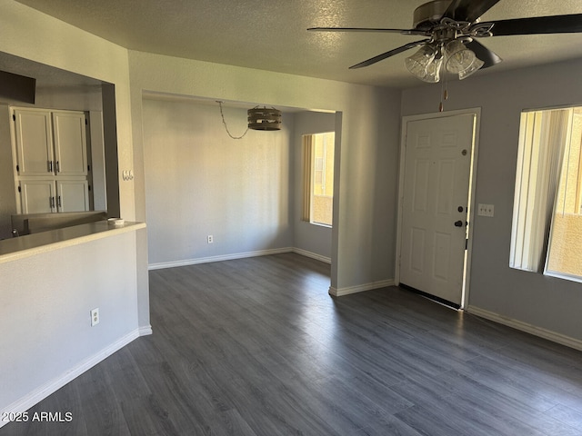 foyer entrance featuring plenty of natural light, dark hardwood / wood-style flooring, and a textured ceiling