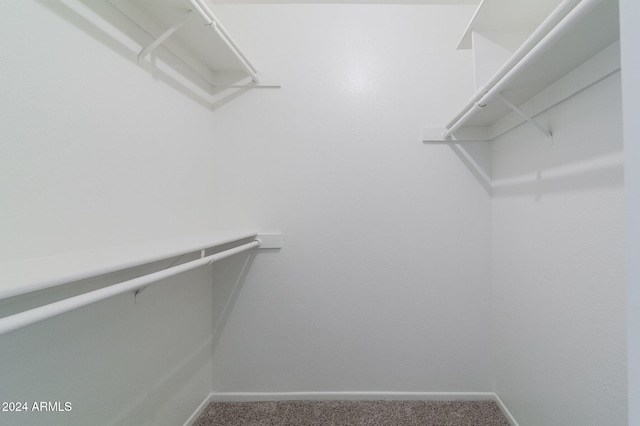 spacious closet with carpet