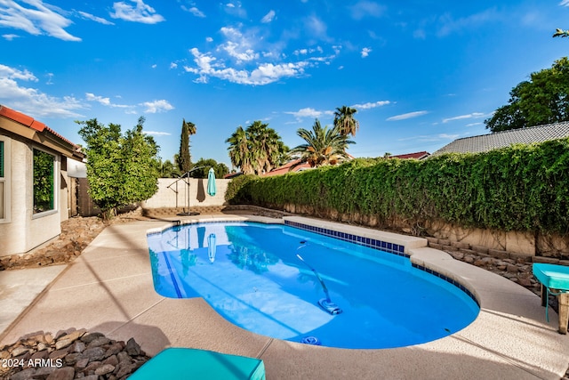 view of swimming pool featuring a patio