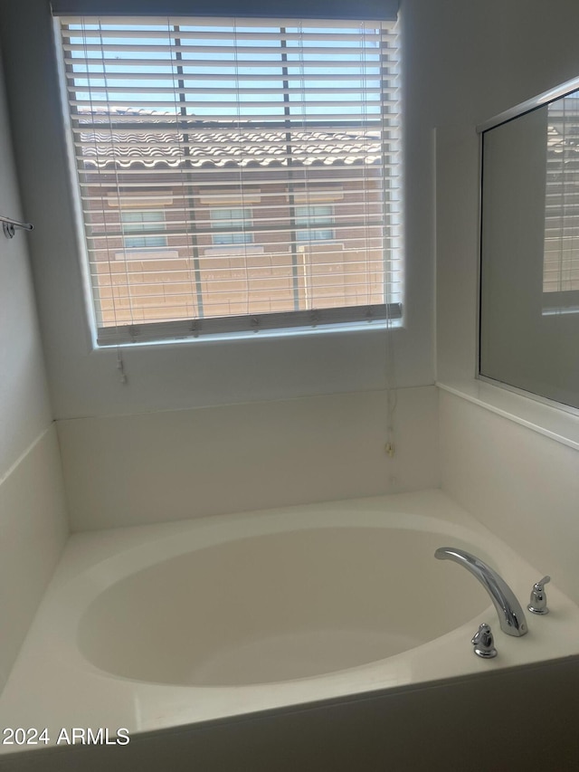 bathroom featuring a tub and a healthy amount of sunlight