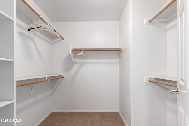 spacious closet featuring carpet floors