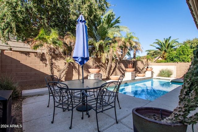 view of swimming pool with a patio