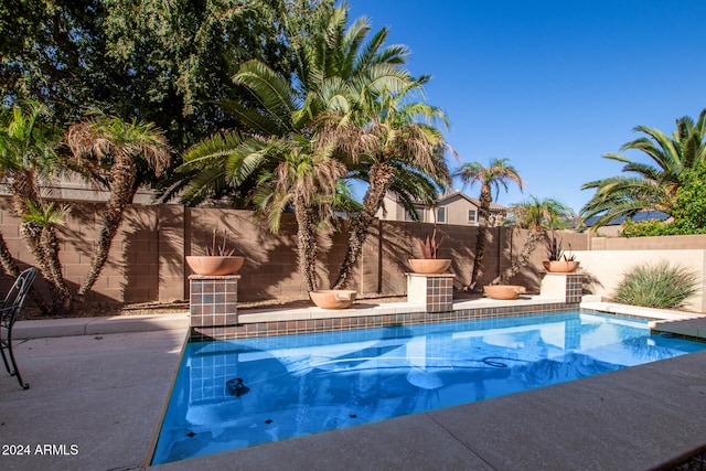 view of pool featuring a patio area