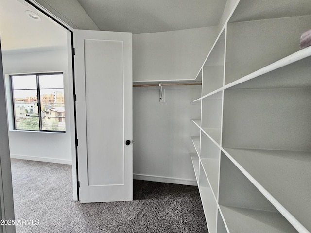 1401 S Rita Ln, Tempe, AZ 85281 - spacious closet featuring carpet floors