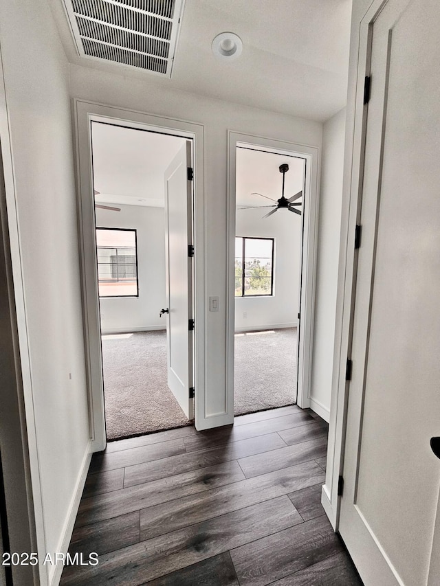 1401 S Rita Ln, Tempe, AZ 85281 - hall featuring dark wood-type flooring and baseboards