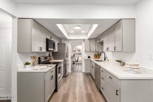 kitchen with a tray ceiling, gray cabinetry, sink, and stainless steel appliances