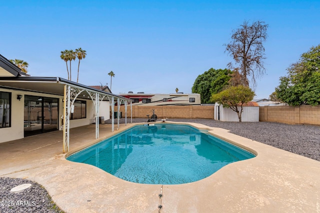 view of pool with a patio and a shed