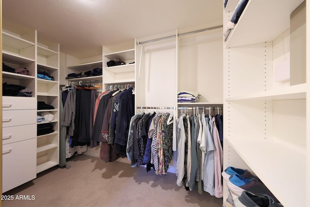 3417 E Mission Ln E, Phoenix, AZ 85028 - spacious closet with carpet