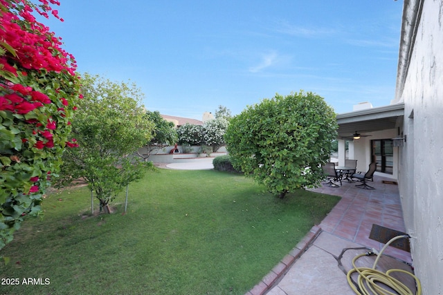3417 E Mission Ln E, Phoenix, AZ 85028 - view of grassy yard with a patio and a ceiling fan