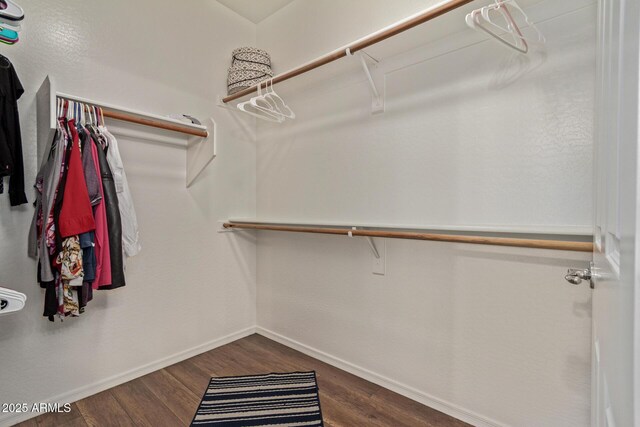 15246 N 138th Ln, Surprise, AZ 85379 - spacious closet featuring dark wood-style floors