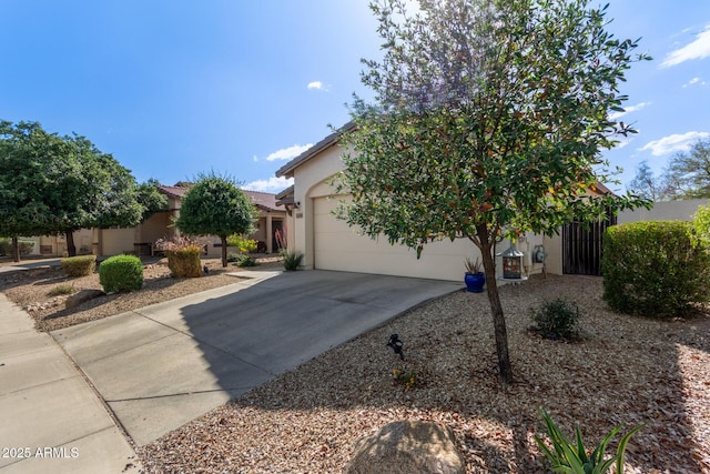15246 N 138th Ln, Surprise, AZ 85379 - view of property hidden behind natural elements featuring an attached garage, driveway, and stucco siding