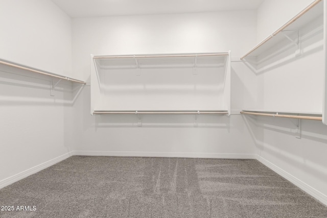 walk in closet featuring carpet floors