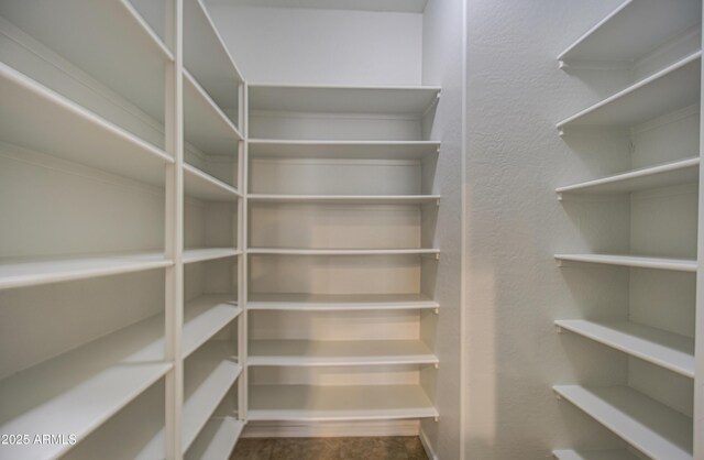 6192 S Claiborne Ave, Gilbert, AZ 85298 - view of storage area