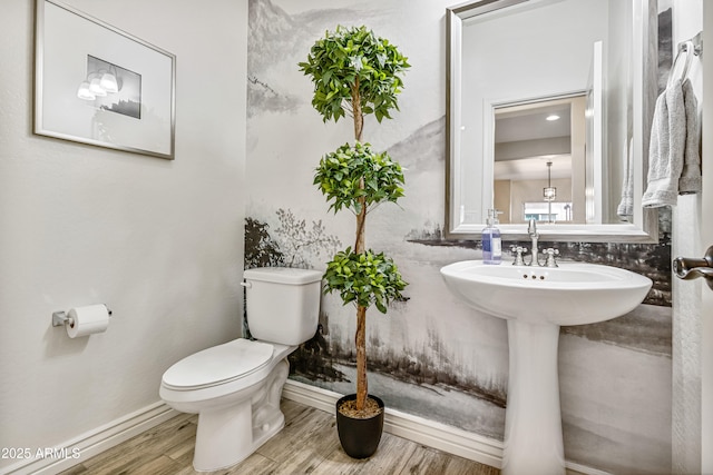 bathroom featuring toilet and hardwood / wood-style floors