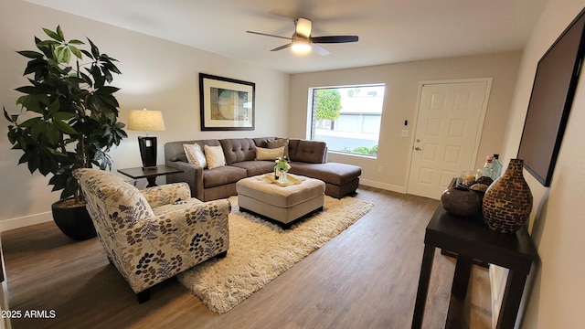 living room featuring hardwood / wood-style flooring and ceiling fan