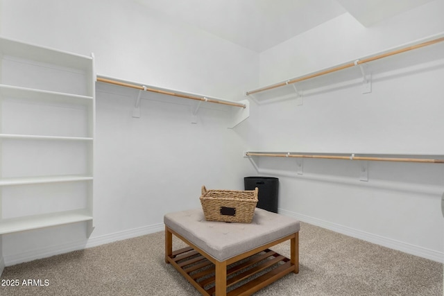 spacious closet with carpet flooring