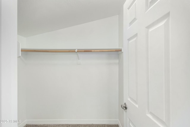 spacious closet with carpet