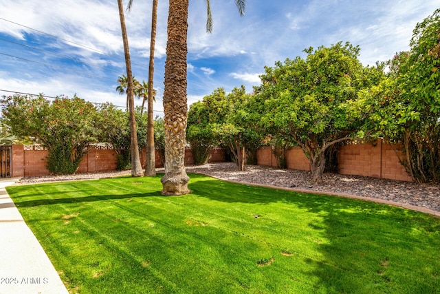 view of yard with a fenced backyard
