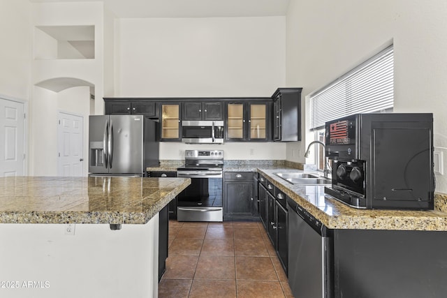 351 N Danyell Dr, Chandler, AZ 85225 - kitchen featuring appliances with stainless steel finishes, a sink, a towering ceiling, arched walkways, and glass insert cabinets