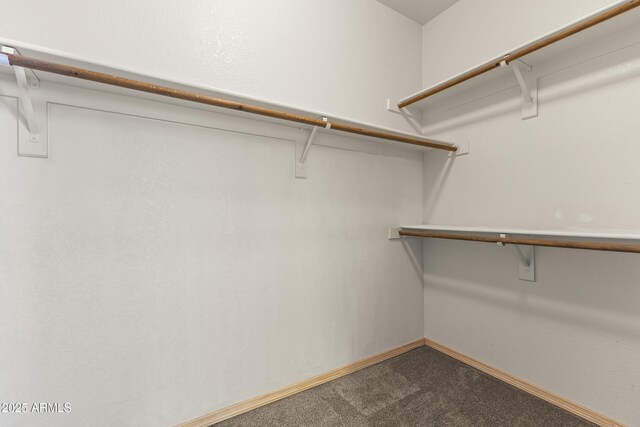 351 N Danyell Dr, Chandler, AZ 85225 - spacious closet with carpet flooring