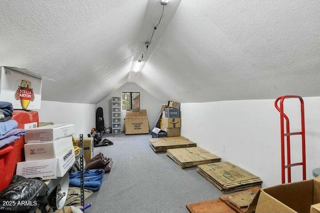 additional living space featuring carpet flooring, vaulted ceiling, and a textured ceiling