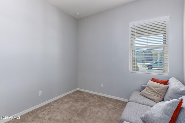 sitting room featuring carpet