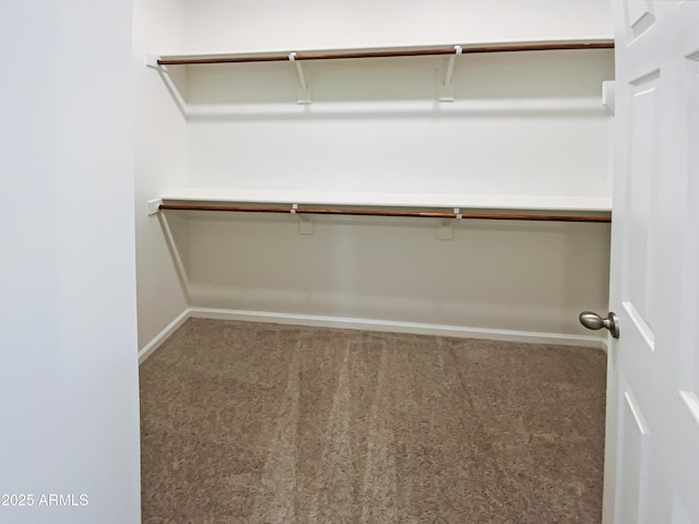 spacious closet featuring carpet flooring