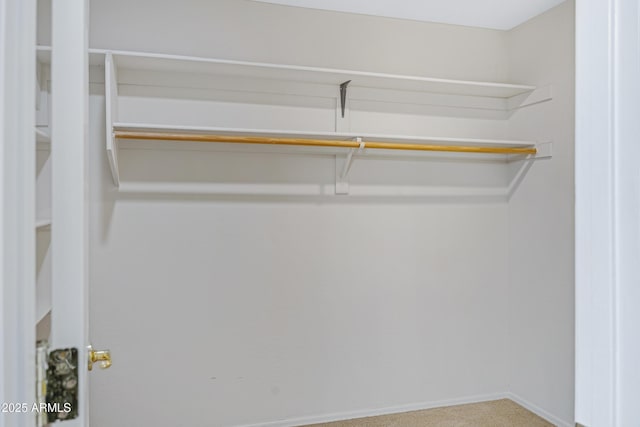 spacious closet featuring carpet