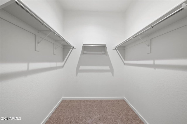 walk in closet with carpet floors