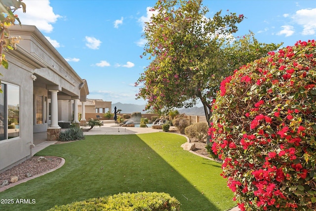 view of yard with a patio area