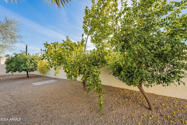 7845 E Dynamite Blvd, Scottsdale, AZ 85266 - view of yard