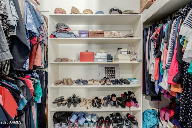 view of spacious closet