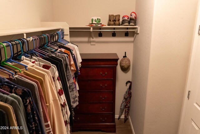 view of walk in closet