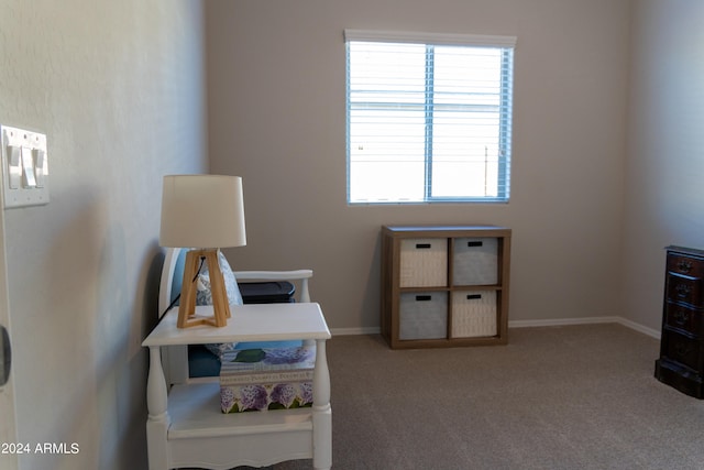 interior space featuring carpet floors