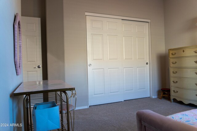 carpeted bedroom featuring a closet