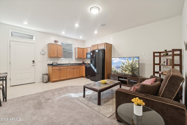 carpeted living room with sink