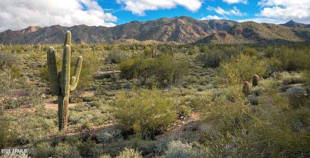 22376 W Monona Ln, Surprise, AZ 85387 - view of mountain background