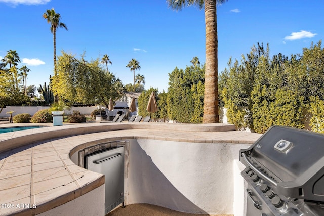 view of patio / terrace featuring area for grilling