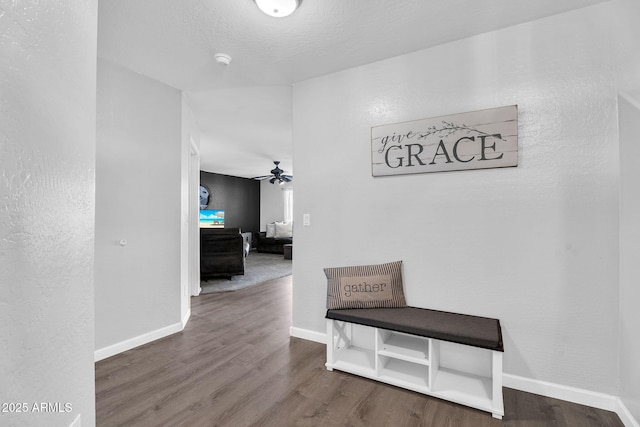 2412 W Camp River Rd, San Tan Valley, AZ 85144 - hallway featuring wood finished floors, baseboards, and a textured wall
