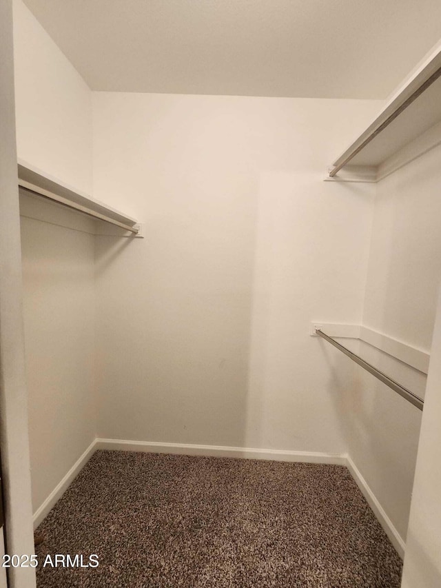 walk in closet featuring carpet floors