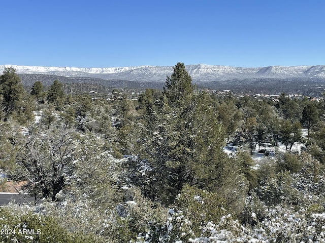 Listing photo 3 for 211 S Crescent Moon Dr Unit 308, Payson AZ 85541