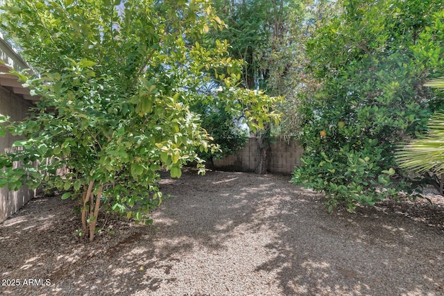 7806 N Via Del Sol, Scottsdale, AZ 85258 - view of yard