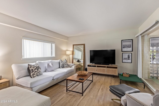 living room featuring light hardwood / wood-style flooring